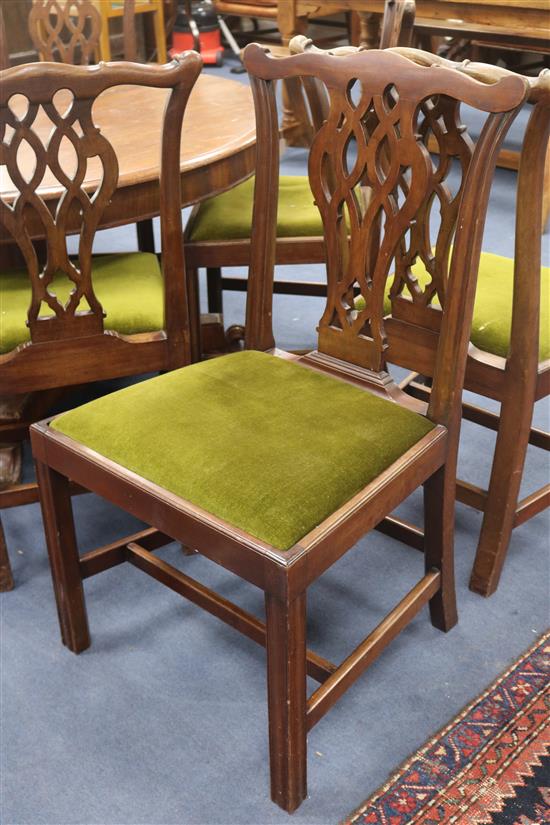 Eight Chippendale style dining chairs